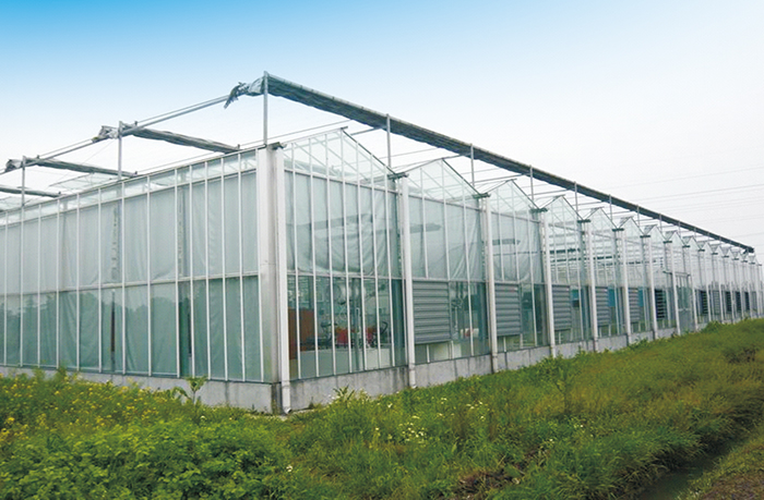 河北國富恒聯(lián)農(nóng)牧有限公司元氏縣蔬菜基地工程