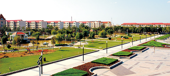 黃驊市南排河鎮(zhèn)趙家堡、賈家堡村民聯(lián)建工程