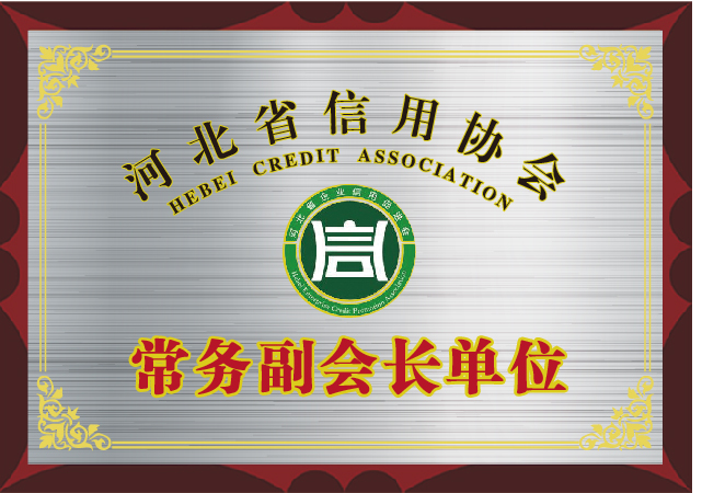 常務(wù)副會(huì)長(zhǎng)_畫(huà)板 1.jpg